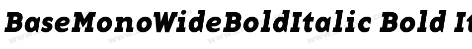 BaseMonoWideBoldItalic Bold Italic字体转换